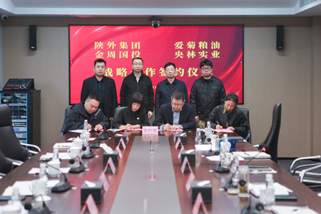 陜外集團與周至縣政府、愛菊糧油、金周國投、央林實業座談交流并簽署戰略合作協議